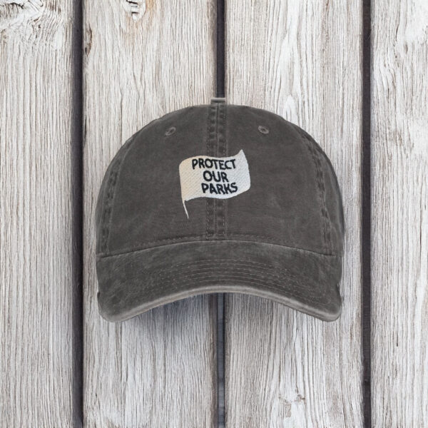 Protect Our Parks Hat Charcoal